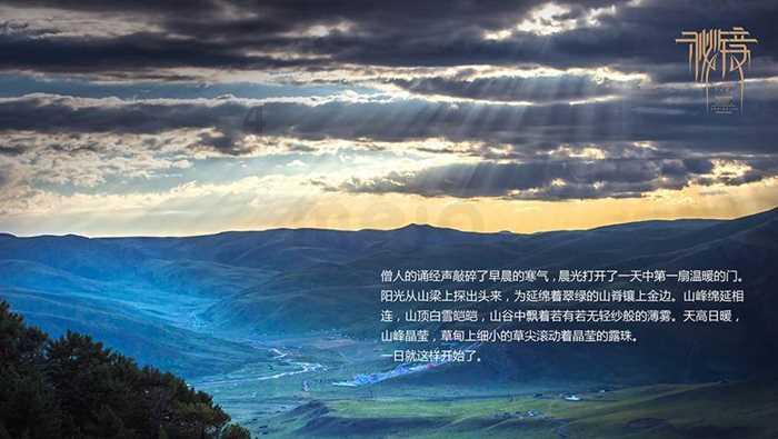重生之玫瑰豪门