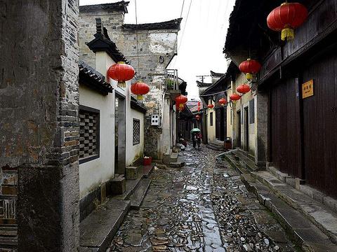 白孔雀救援