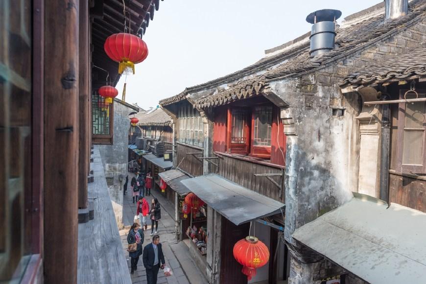 救援淘气的小狗